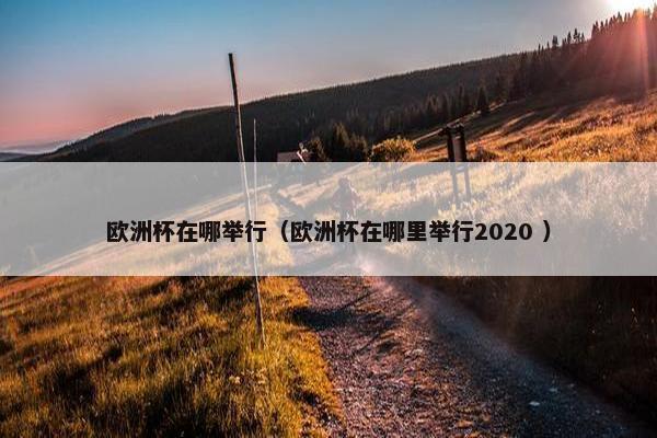 欧洲杯在哪举行（欧洲杯在哪里举行2020 ）