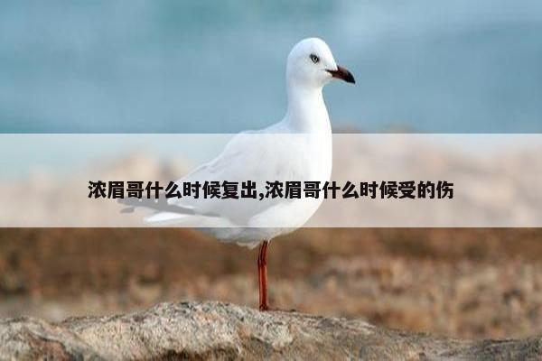 浓眉哥什么时候复出,浓眉哥什么时候受的伤