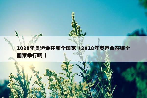 2028年奥运会在哪个国家（2028年奥运会在哪个国家举行啊 ）