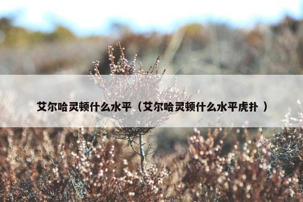 艾尔哈灵顿什么水平（艾尔哈灵顿什么水平虎扑 ）