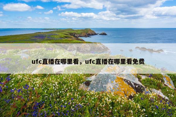 ufc直播在哪里看，ufc直播在哪里看免费