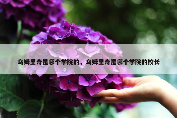 乌姆里奇是哪个学院的，乌姆里奇是哪个学院的校长