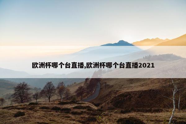 欧洲杯哪个台直播,欧洲杯哪个台直播2021