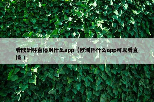 看欧洲杯直播用什么app（欧洲杯什么app可以看直播 ）