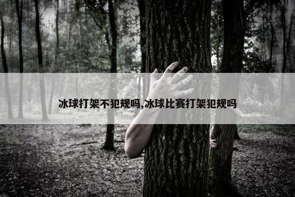 冰球打架不犯规吗,冰球比赛打架犯规吗