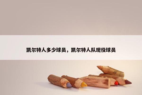 凯尔特人多少球员，凯尔特人队现役球员