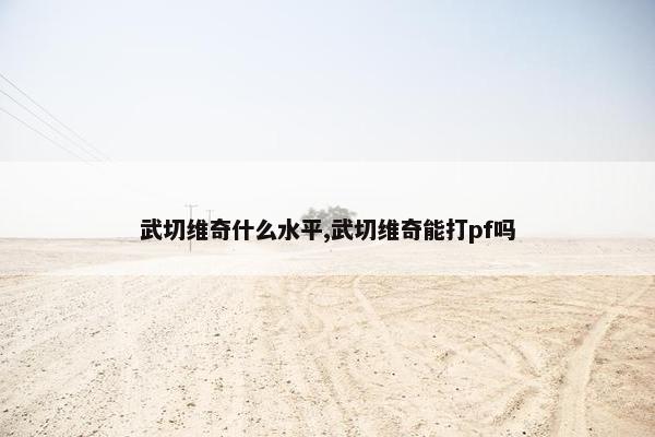 武切维奇什么水平,武切维奇能打pf吗