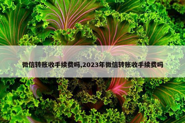 微信转账收手续费吗,2023年微信转账收手续费吗