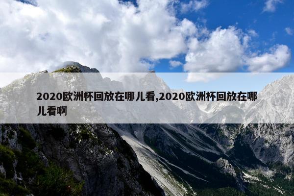 2020欧洲杯回放在哪儿看,2020欧洲杯回放在哪儿看啊