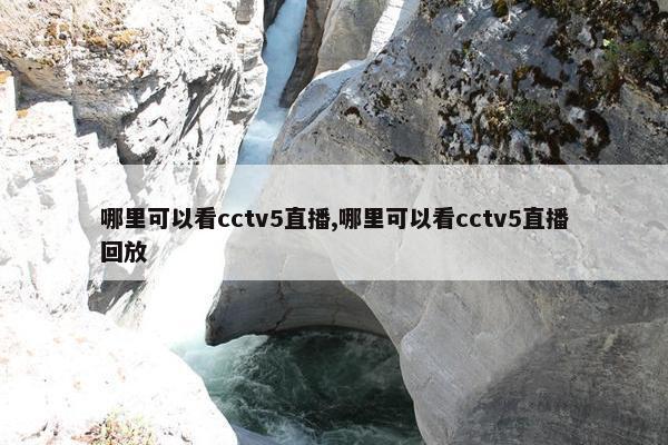 哪里可以看cctv5直播,哪里可以看cctv5直播回放