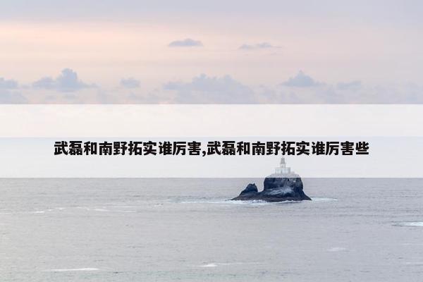 武磊和南野拓实谁厉害,武磊和南野拓实谁厉害些