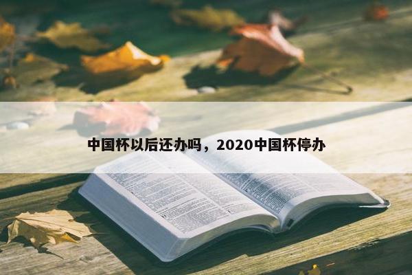 中国杯以后还办吗，2020中国杯停办