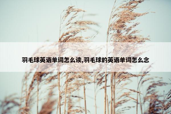 羽毛球英语单词怎么读,羽毛球的英语单词怎么念