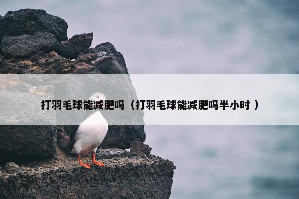 打羽毛球能减肥吗（打羽毛球能减肥吗半小时 ）