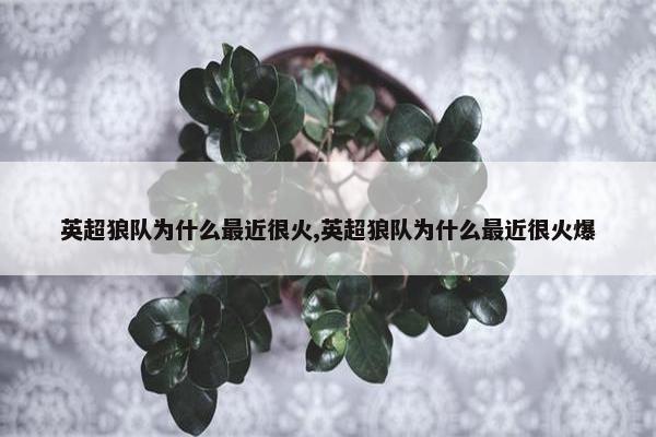 英超狼队为什么最近很火,英超狼队为什么最近很火爆