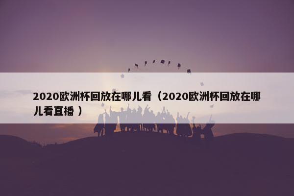 2020欧洲杯回放在哪儿看（2020欧洲杯回放在哪儿看直播 ）