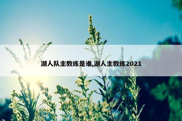 湖人队主教练是谁,湖人主教练2021