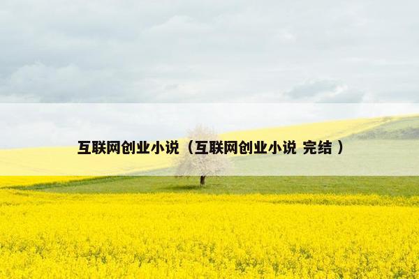 互联网创业小说（互联网创业小说 完结 ）