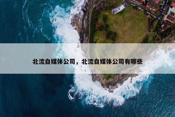 北流自媒体公司，北流自媒体公司有哪些