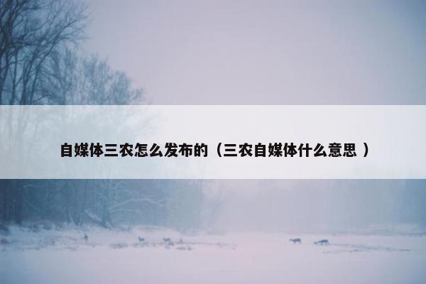 自媒体三农怎么发布的（三农自媒体什么意思 ）