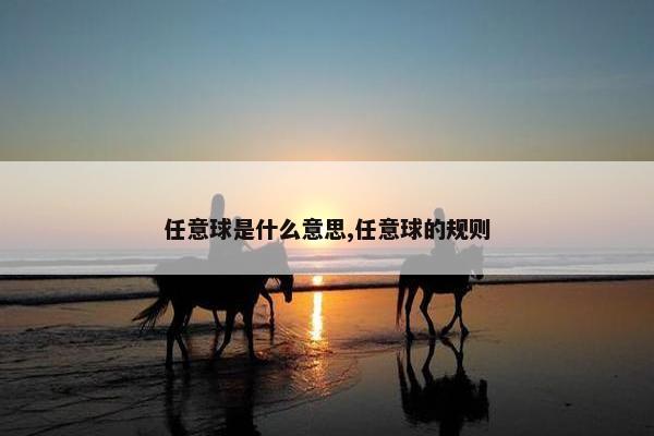 任意球是什么意思,任意球的规则