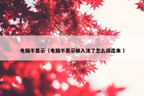 电脑不显示（电脑不显示输入法了怎么调出来 ）