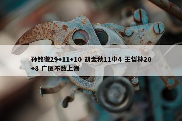 孙铭徽29+11+10 胡金秋11中4 王哲林20+8 广厦不敌上海