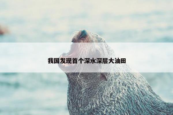 我国发现首个深水深层大油田