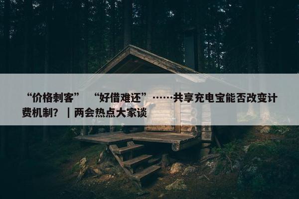 “价格刺客” “好借难还”……共享充电宝能否改变计费机制？｜两会热点大家谈