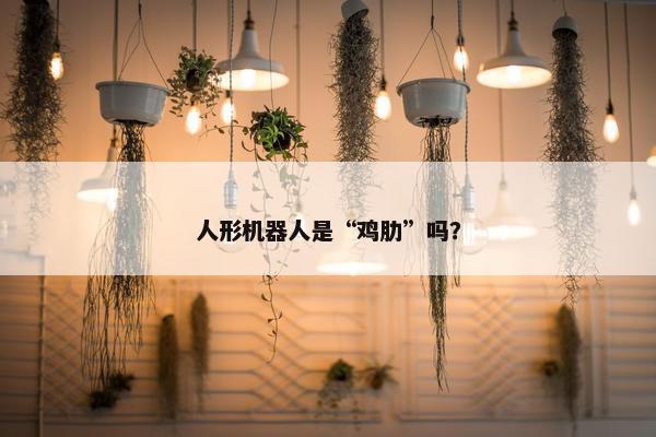 人形机器人是“鸡肋”吗？