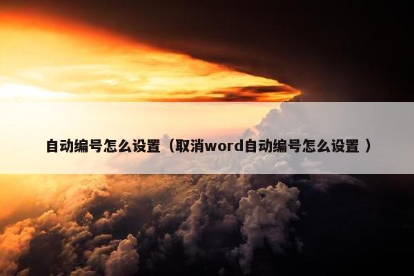 自动编号怎么设置（取消word自动编号怎么设置 ）