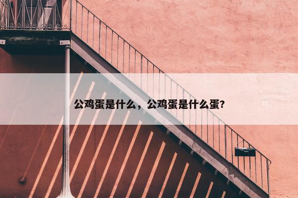 公鸡蛋是什么，公鸡蛋是什么蛋?