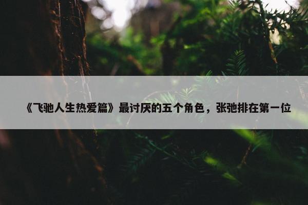 《飞驰人生热爱篇》最讨厌的五个角色，张弛排在第一位