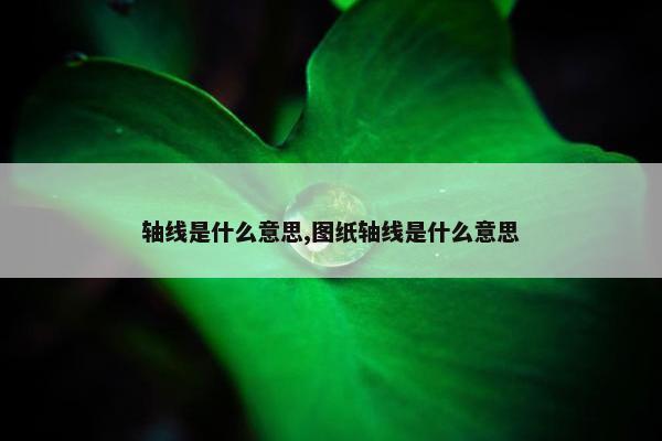 轴线是什么意思,图纸轴线是什么意思