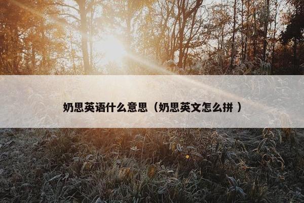 奶思英语什么意思（奶思英文怎么拼 ）