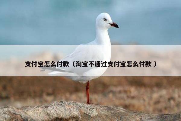 支付宝怎么付款（淘宝不通过支付宝怎么付款 ）