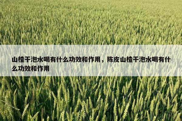 山楂干泡水喝有什么功效和作用，陈皮山楂干泡水喝有什么功效和作用