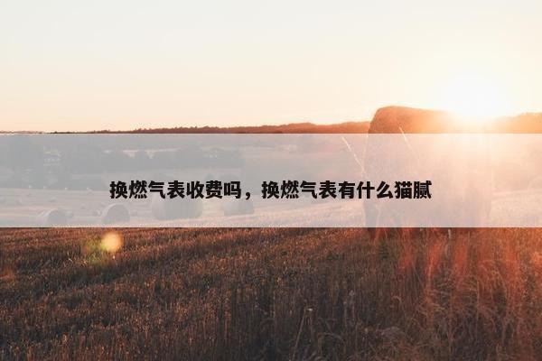 换燃气表收费吗，换燃气表有什么猫腻