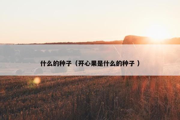 什么的种子（开心果是什么的种子 ）