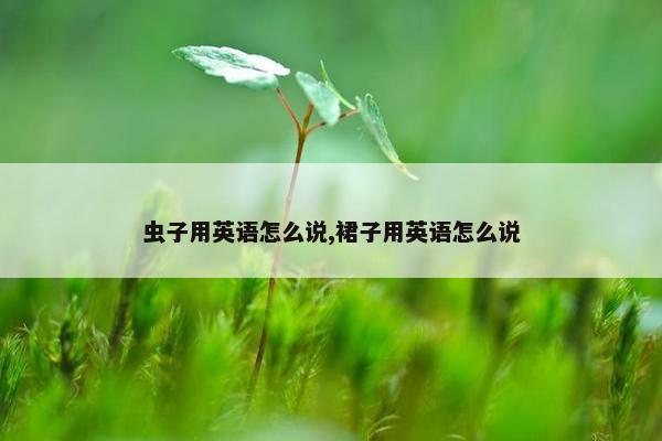 虫子用英语怎么说,裙子用英语怎么说