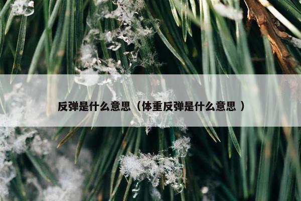 反弹是什么意思（体重反弹是什么意思 ）