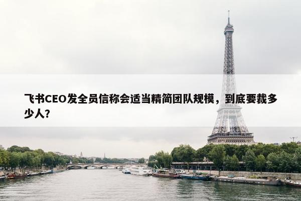 飞书CEO发全员信称会适当精简团队规模，到底要裁多少人？