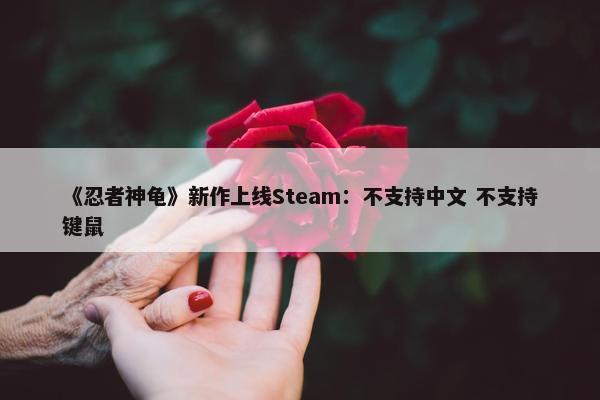 《忍者神龟》新作上线Steam：不支持中文 不支持键鼠