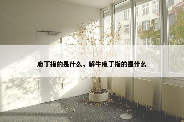 庖丁指的是什么，解牛庖丁指的是什么