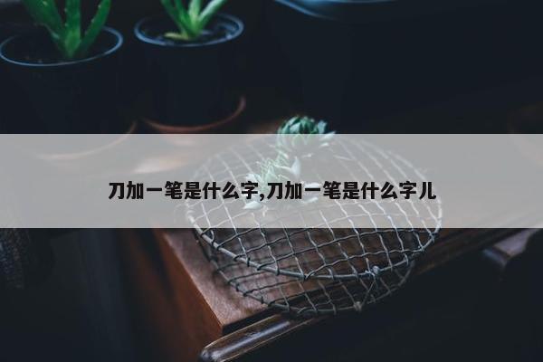 刀加一笔是什么字,刀加一笔是什么字儿