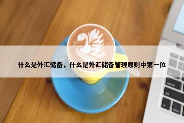 什么是外汇储备，什么是外汇储备管理原则中第一位