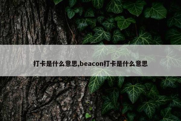 打卡是什么意思,beacon打卡是什么意思