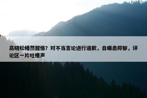 高晓松幡然醒悟？对不当言论进行道歉，自曝患抑郁，评论区一片吐槽声