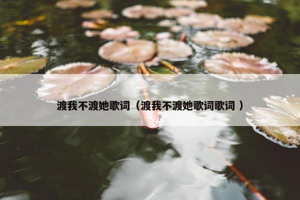 渡我不渡她歌词（渡我不渡她歌词歌词 ）