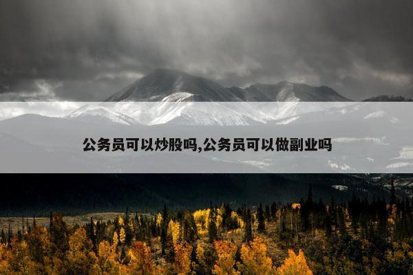 公务员可以炒股吗,公务员可以做副业吗